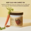 SKINFOOD - Carrot Carotene Calming Water Pad - Image 6