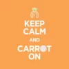 SKINFOOD - Carrot Carotene Calming Water Pad - Image 11